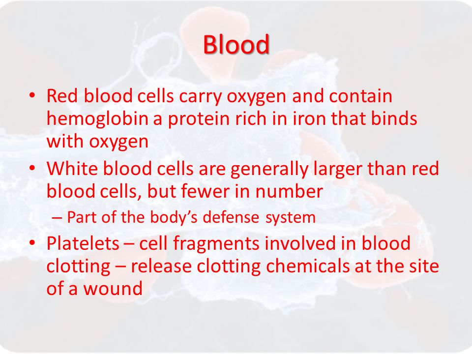 Blood Red blood cells carry oxygen and contain hemoglobin a protein rich in iron that binds with oxygen White blood cells are generally larger than red blood cells, but fewer in number – Part of the body’s defense system Platelets – cell fragments involved in blood clotting – release clotting chemicals at the site of a wound