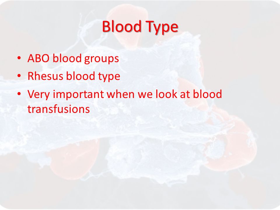 Blood Type ABO blood groups Rhesus blood type Very important when we look at blood transfusions