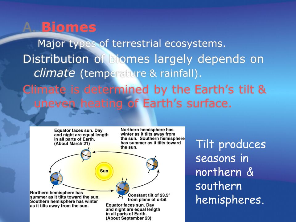A. Biomes Major types of terrestrial ecosystems.