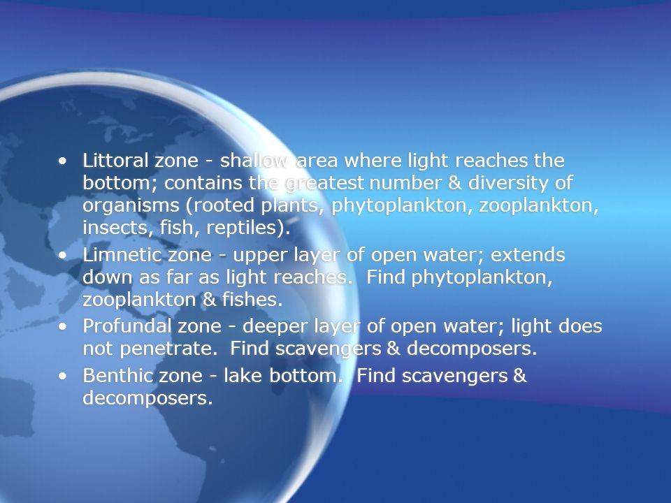 Littoral zone - shallow area where light reaches the bottom; contains the greatest number & diversity of organisms (rooted plants, phytoplankton, zooplankton, insects, fish, reptiles).