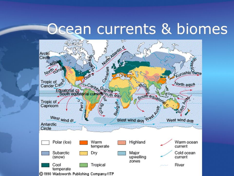 Ocean currents & biomes