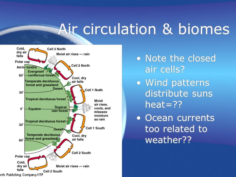 Air circulation & biomes Note the closed air cells.
