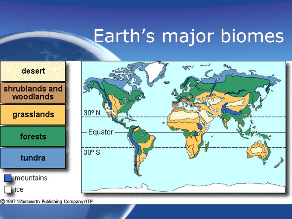 Earth’s major biomes