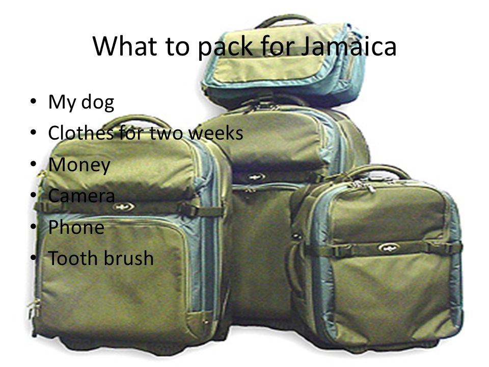 What to pack for Jamaica My dog Clothes for two weeks Money Camera Phone Tooth brush