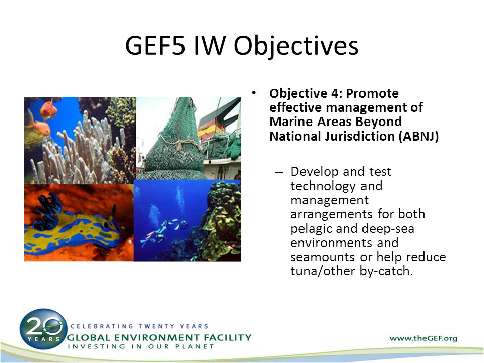 Objective 4: Promote effective management of Marine Areas Beyond National Jurisdiction (ABNJ) – Develop and test technology and management arrangements for both pelagic and deep-sea environments and seamounts or help reduce tuna/other by-catch.
