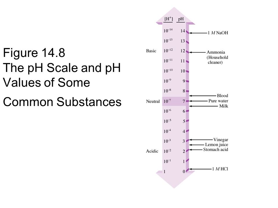 Figure 14.8 The pH Scale and pH Values of Some Common Substances