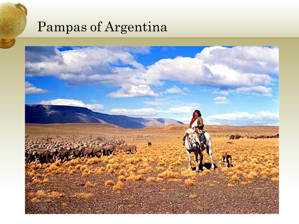 Pampas of Argentina
