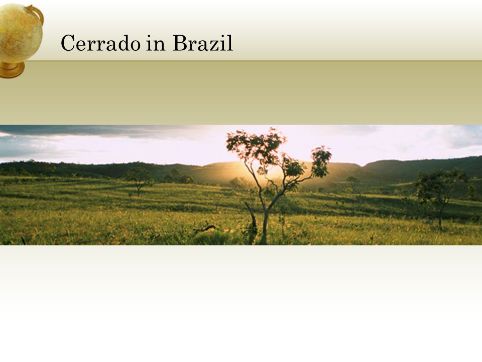 Cerrado in Brazil