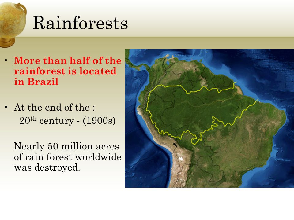 Rainforests More than half of the rainforest is located in Brazil At the end of the : 20 th century - (1900s) Nearly 50 million acres of rain forest worldwide was destroyed.
