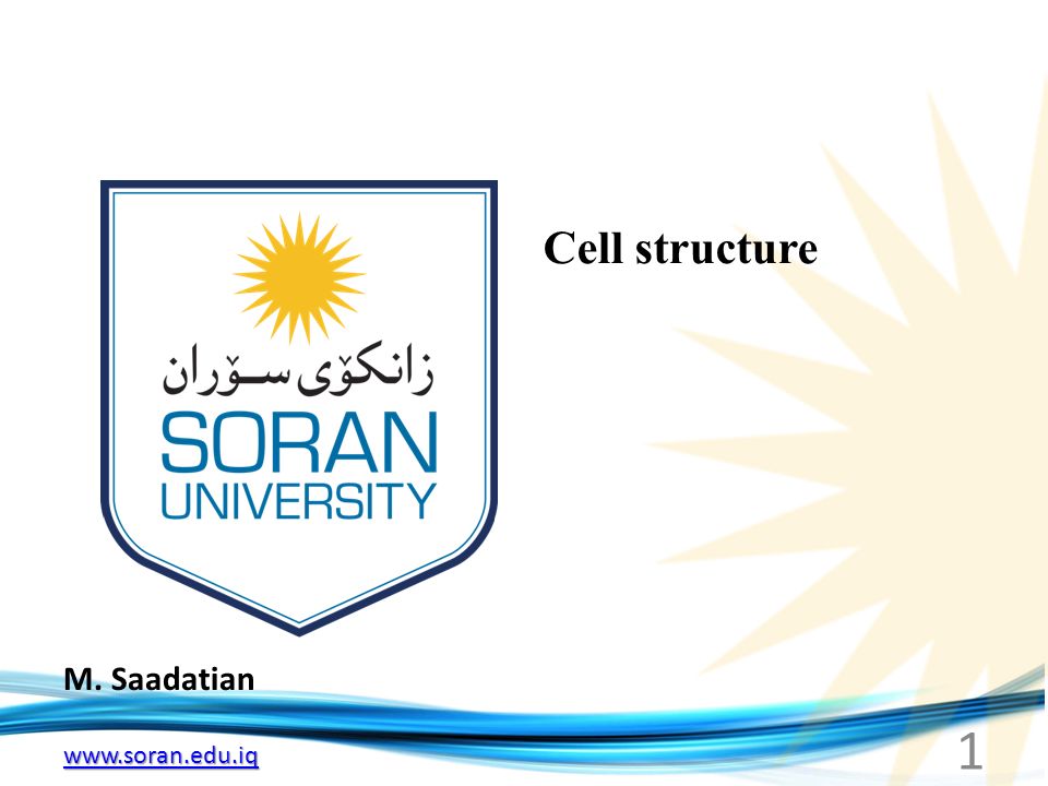M. Saadatian Cell structure 1