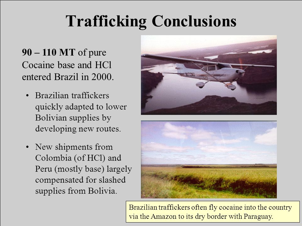 Trafficking Conclusions 90 – 110 MT of pure Cocaine base and HCl entered Brazil in 2000.