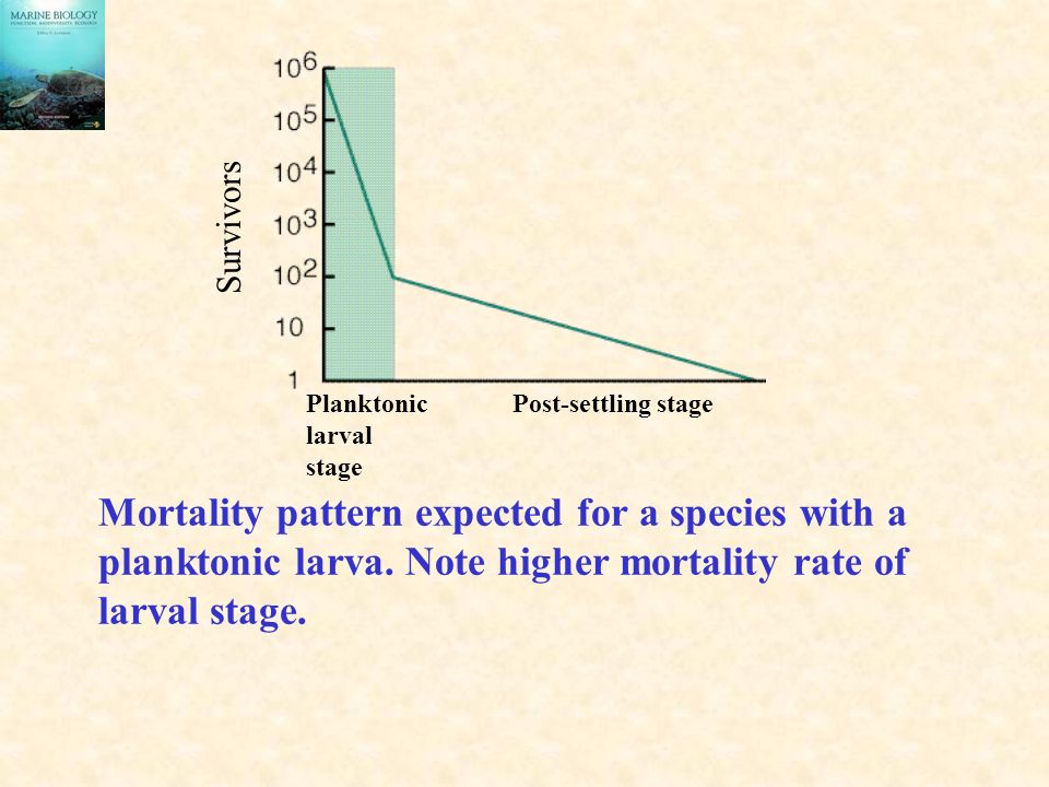 Mortality pattern expected for a species with a planktonic larva.