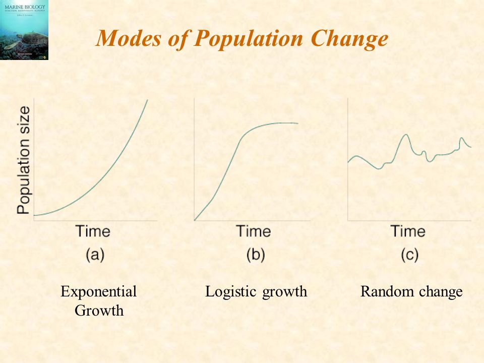 Modes of Population Change Exponential Growth Logistic growthRandom change