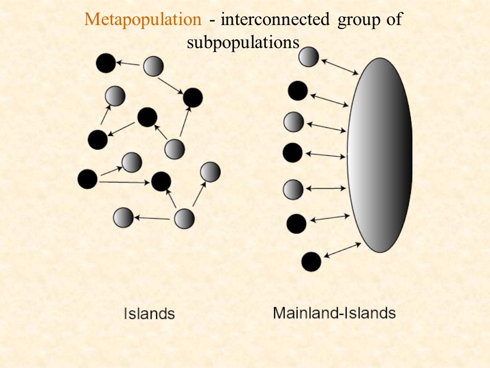 Metapopulation - interconnected group of subpopulations