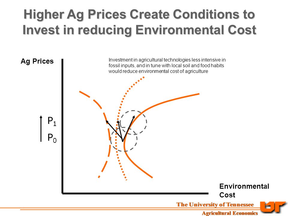 Ag Prices Environmental Cost Higher Ag Prices Create Conditions to Invest in reducing Environmental Cost P0P0 P1P1 Investment in agricultural technologies less intensive in fossil inputs, and in tune with local soil and food habits would reduce environmental cost of agriculture