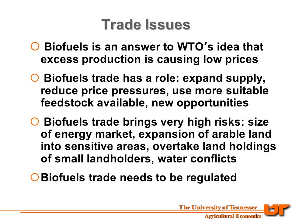 Trade Issues  Biofuels is an answer to WTO ’ s idea that excess production is causing low prices  Biofuels trade has a role: expand supply, reduce price pressures, use more suitable feedstock available, new opportunities  Biofuels trade brings very high risks: size of energy market, expansion of arable land into sensitive areas, overtake land holdings of small landholders, water conflicts  Biofuels trade needs to be regulated