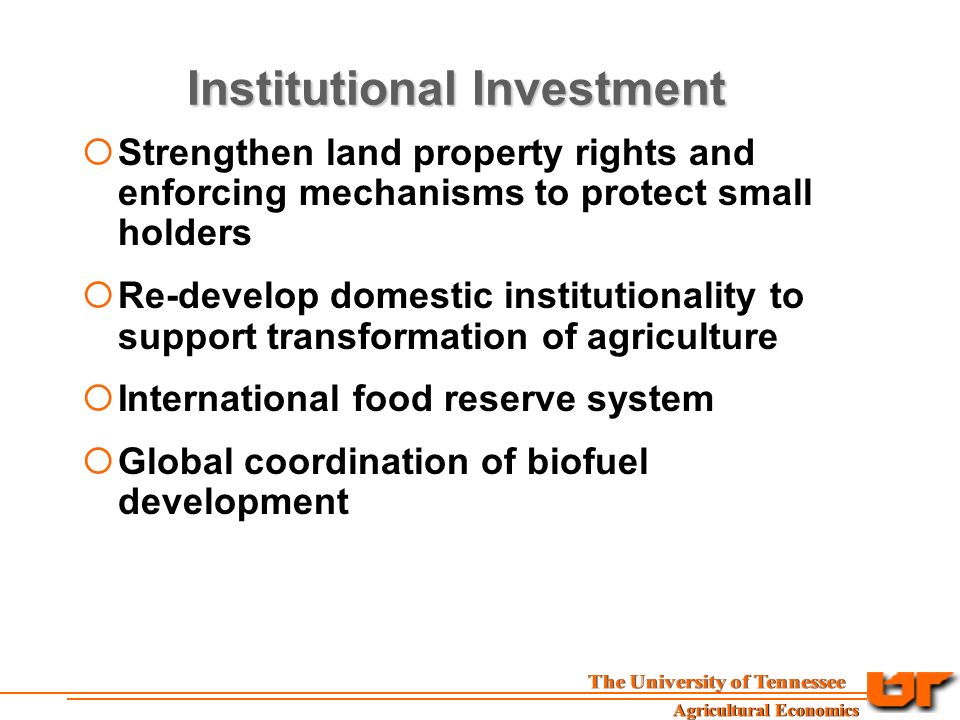 Institutional Investment  Strengthen land property rights and enforcing mechanisms to protect small holders  Re-develop domestic institutionality to support transformation of agriculture  International food reserve system  Global coordination of biofuel development