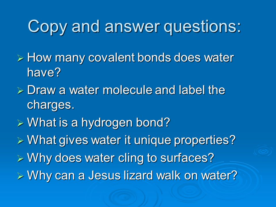 Copy and answer questions:  How many covalent bonds does water have.