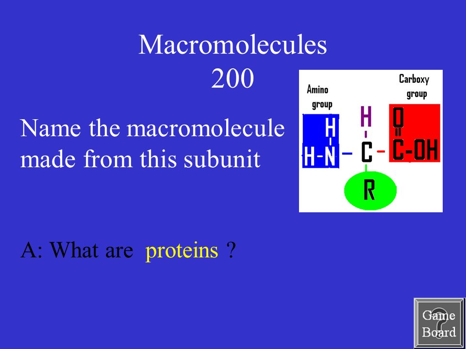 Macromolecules 200 A: What are proteins Name the macromolecule made from this subunit