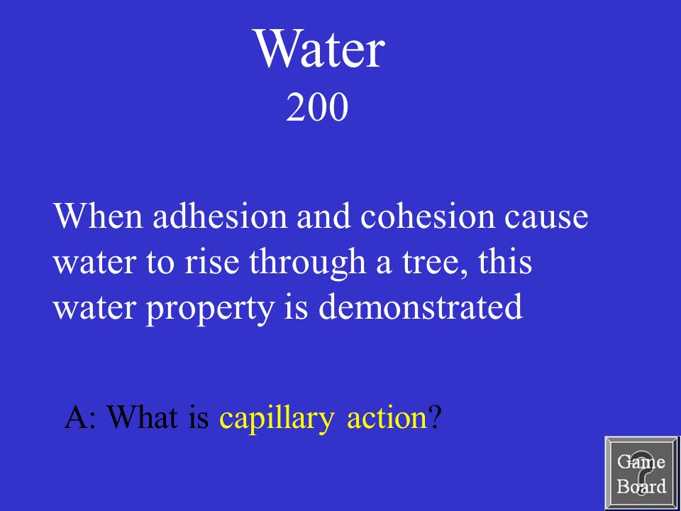Water 200 A: What is capillary action.