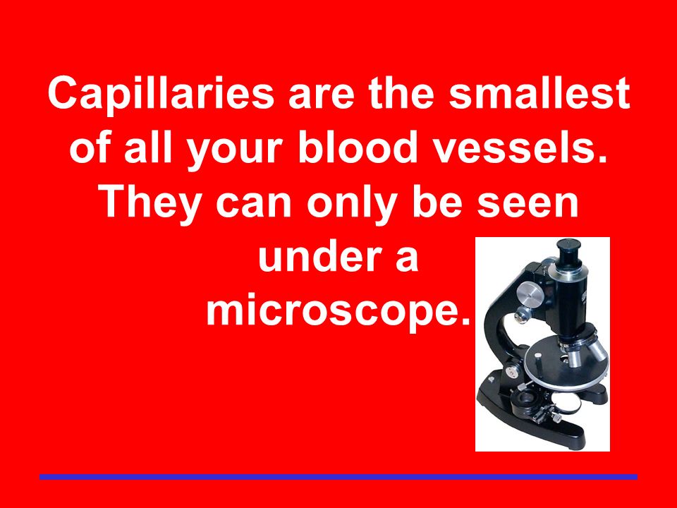 Capillaries are the smallest of all your blood vessels. They can only be seen under a microscope.