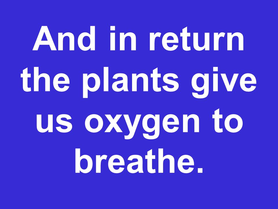 And in return the plants give us oxygen to breathe.