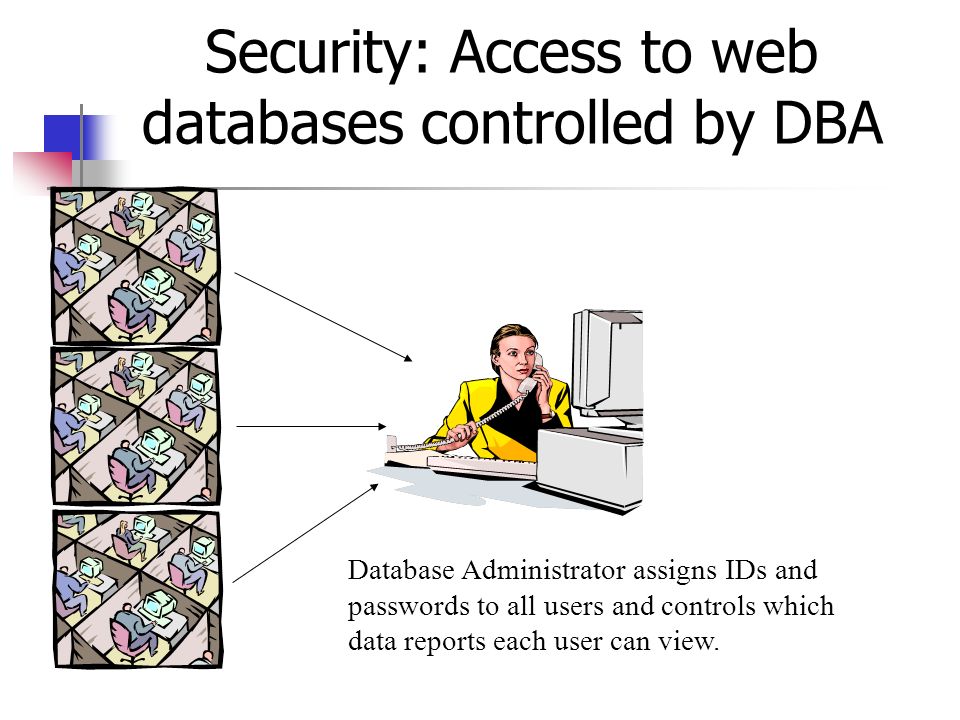 Security: Access to web databases controlled by DBA Database Administrator assigns IDs and passwords to all users and controls which data reports each user can view.