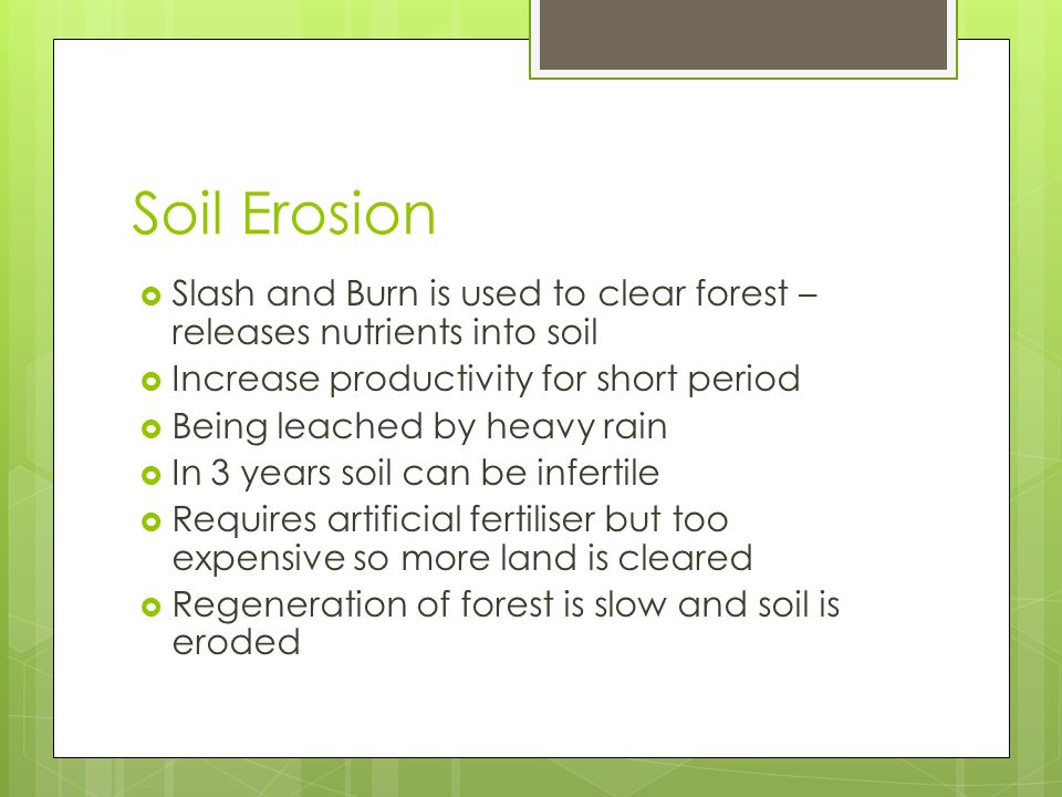 Soil Erosion  Slash and Burn is used to clear forest – releases nutrients into soil  Increase productivity for short period  Being leached by heavy rain  In 3 years soil can be infertile  Requires artificial fertiliser but too expensive so more land is cleared  Regeneration of forest is slow and soil is eroded