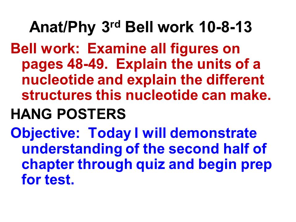Anat/Phy 3 rd Bell work Bell work: Examine all figures on pages