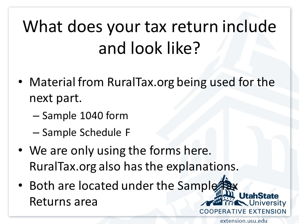 What does your tax return include and look like.