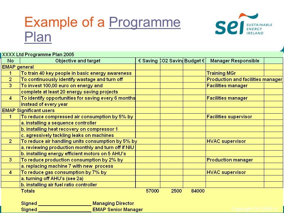 Example of a Programme PlanProgramme Plan Copyright SEI 2005 