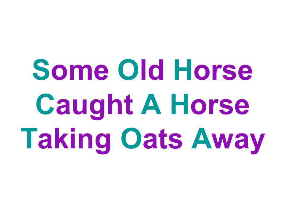 Some Old Horse Caught A Horse Taking Oats Away