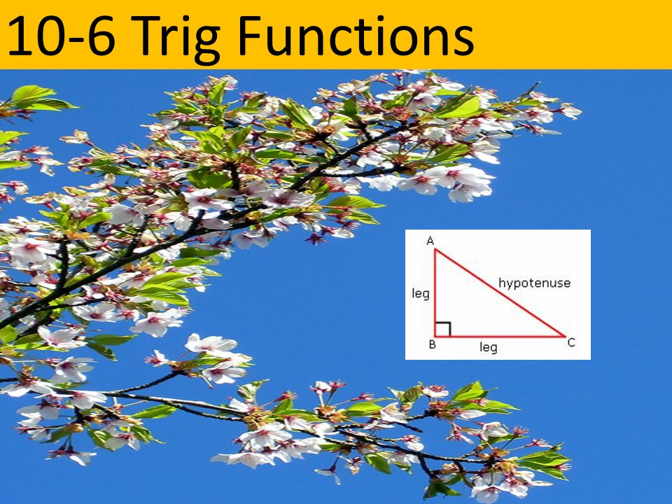 10-6 Trig Functions