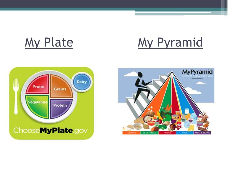 My Plate My Pyramid