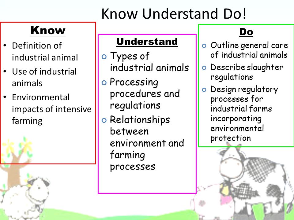 Industrial Animals and Environmental Impact ANSC ppt download