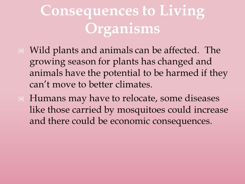  Wild plants and animals can be affected.