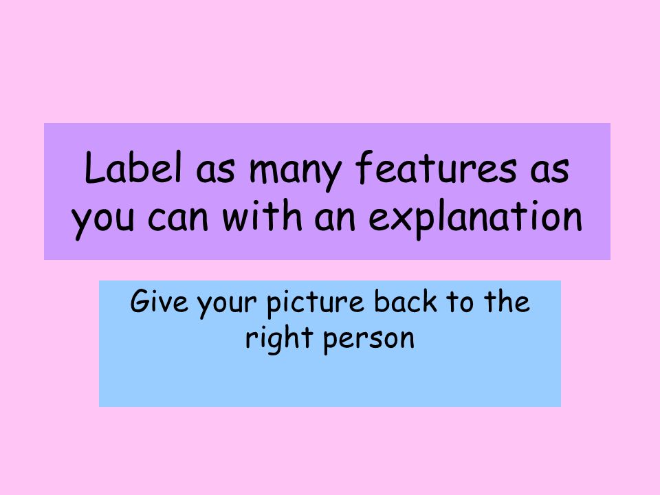 Label as many features as you can with an explanation Give your picture back to the right person