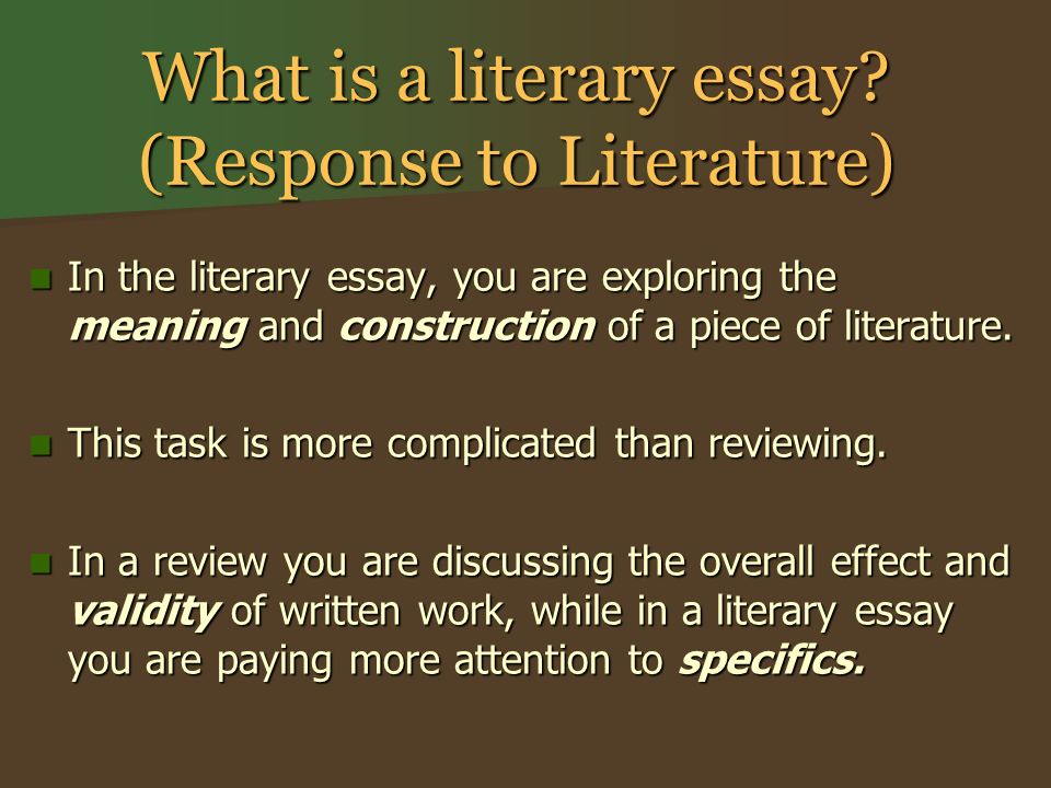 What is a literary essay.