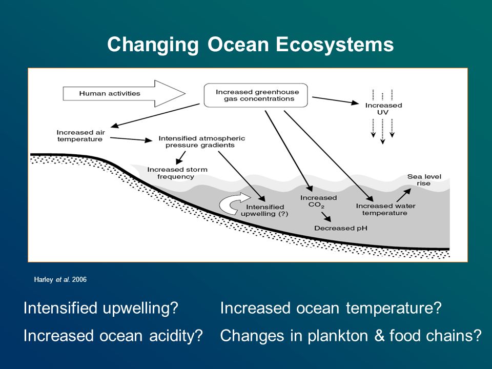 Changing Ocean Ecosystems Intensified upwelling. Increased ocean temperature.