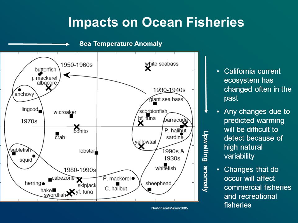 Impacts on Ocean Fisheries California current ecosystem has changed often in the past Any changes due to predicted warming will be difficult to detect because of high natural variability Changes that do occur will affect commercial fisheries and recreational fisheries Norton and Mason 2005 Sea Temperature Anomaly Upwelling anomaly