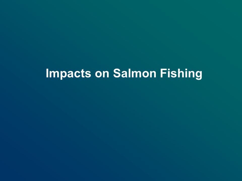 Impacts on Salmon Fishing