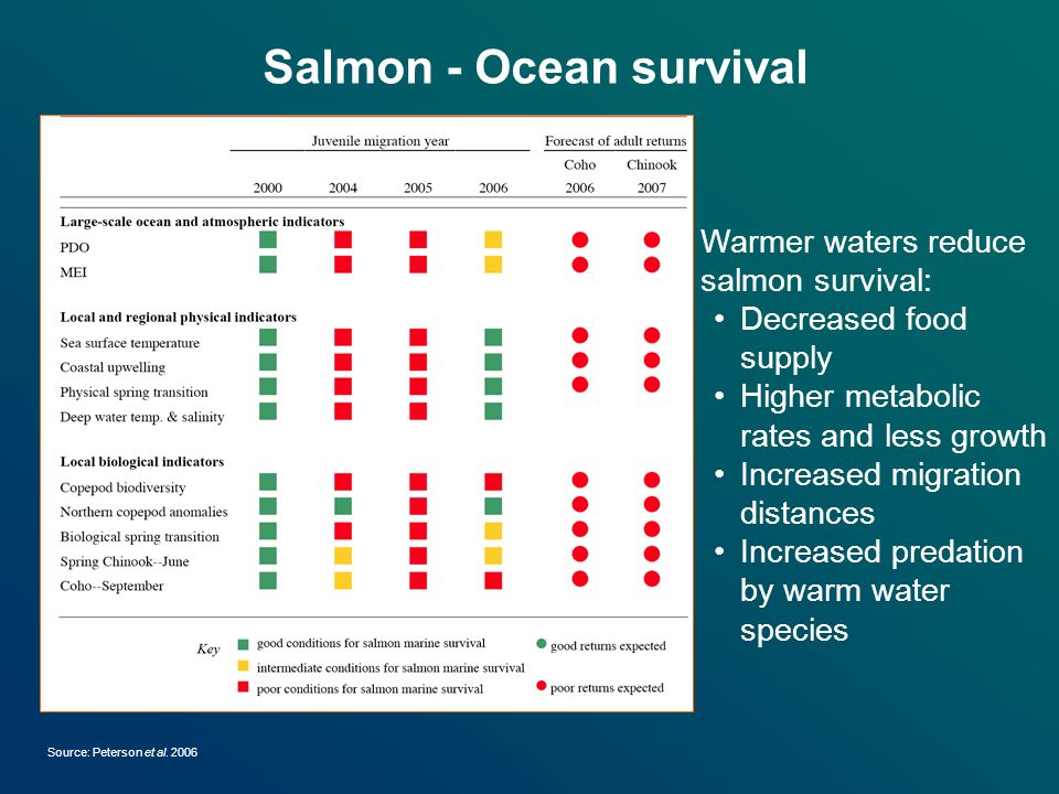 Salmon - Ocean survival Source: Peterson et al.