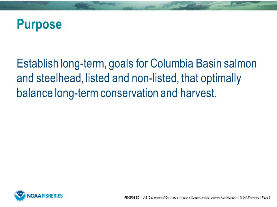 Purpose Establish long-term, goals for Columbia Basin salmon and steelhead, listed and non-listed, that optimally balance long-term conservation and harvest.