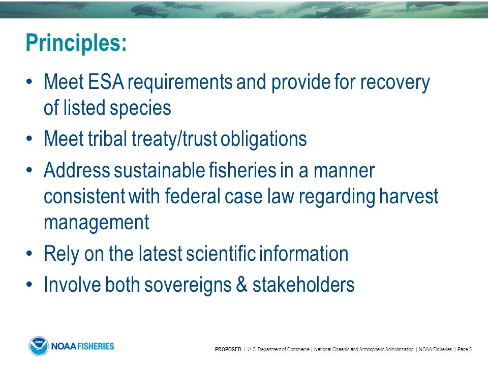 Principles: Meet ESA requirements and provide for recovery of listed species Meet tribal treaty/trust obligations Address sustainable fisheries in a manner consistent with federal case law regarding harvest management Rely on the latest scientific information Involve both sovereigns & stakeholders PROPOSED I U.S.