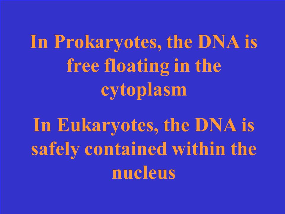 Where is the DNA located in both Pro- and Eukaryotes