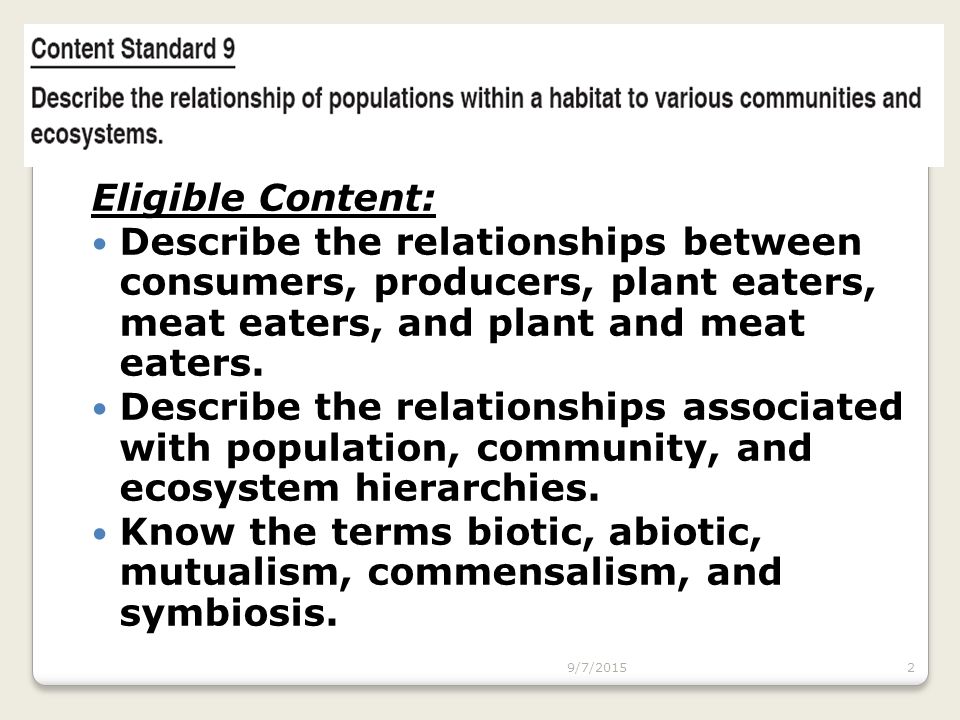 Eligible Content: Describe the relationships between consumers, producers, plant eaters, meat eaters, and plant and meat eaters.