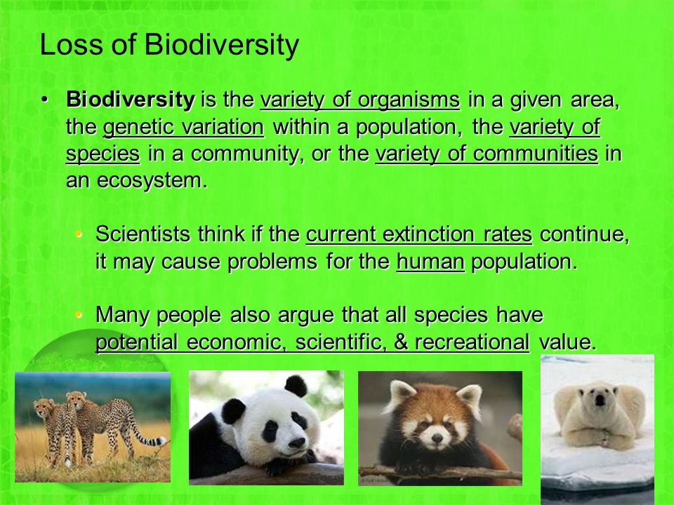 Loss of Biodiversity Biodiversity is the variety of organisms in a given area, the genetic variation within a population, the variety of species in a community, or the variety of communities in an ecosystem.Biodiversity is the variety of organisms in a given area, the genetic variation within a population, the variety of species in a community, or the variety of communities in an ecosystem.