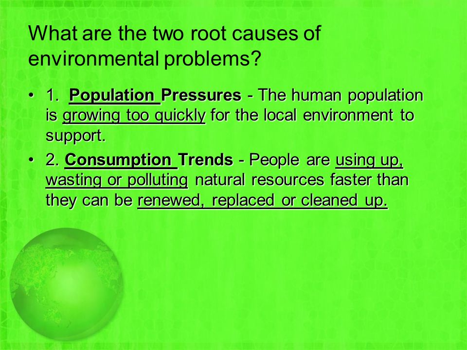 What are the two root causes of environmental problems.