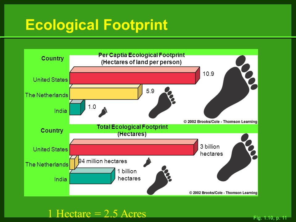 Ecological Footprint United States The Netherlands India Country Per Captia Ecological Footprint (Hectares of land per person) Country Total Ecological Footprint (Hectares) United States The Netherlands India 3 billion hectares 94 million hectares 1 billion hectares Fig.