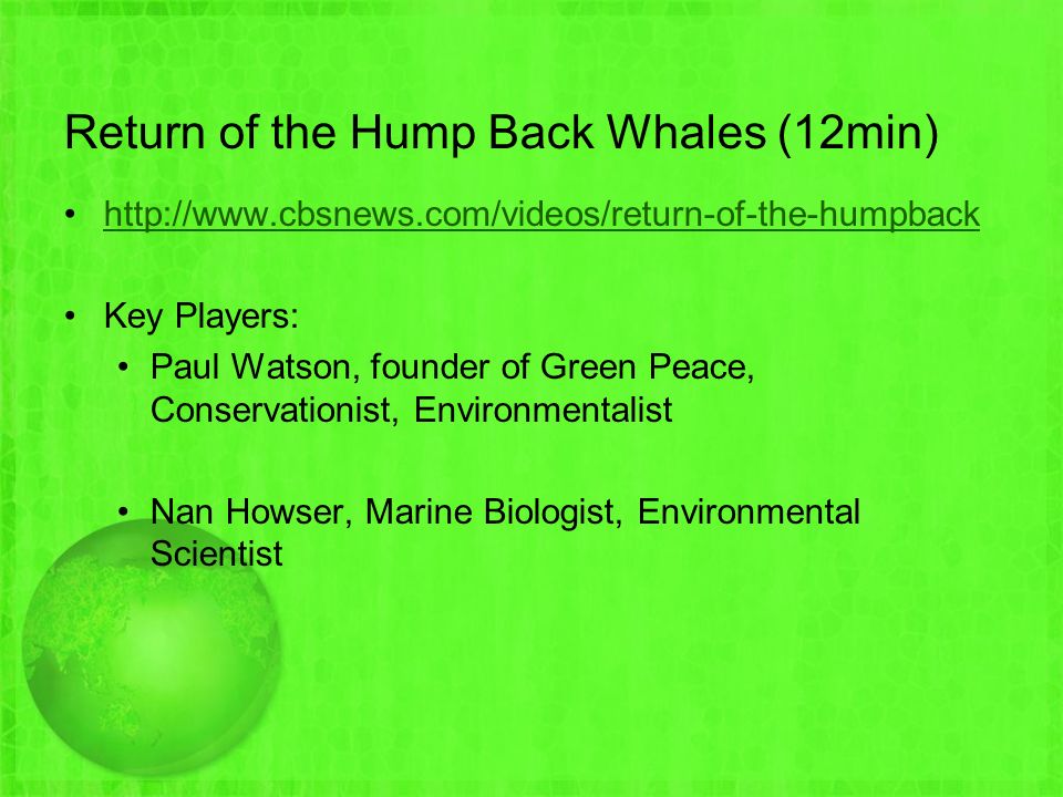 Return of the Hump Back Whales (12min)   Key Players: Paul Watson, founder of Green Peace, Conservationist, Environmentalist Nan Howser, Marine Biologist, Environmental Scientist